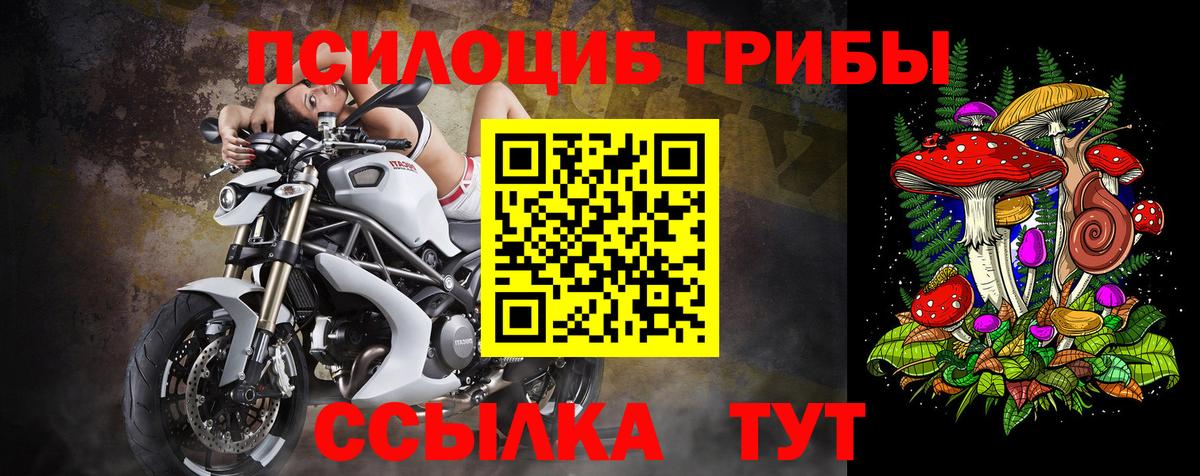 Псилоцибиновые грибы Magic Shrooms Воскресенск